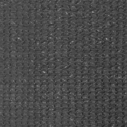 Outdoor Roller Blind 180x230 cm Anthracite