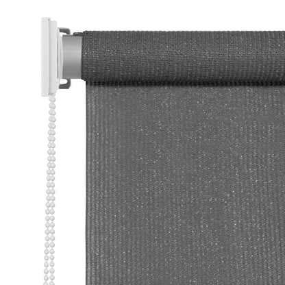 Outdoor Roller Blind 300x230 cm Anthracite