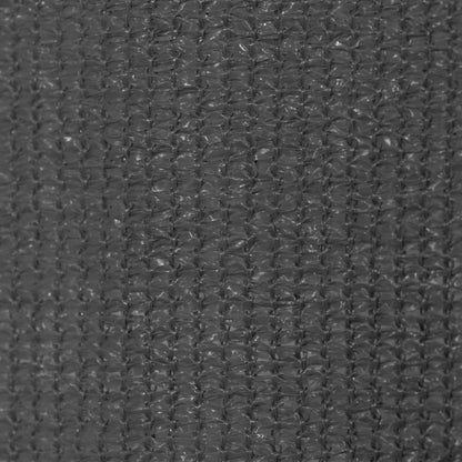 Outdoor Roller Blind 300x230 cm Anthracite
