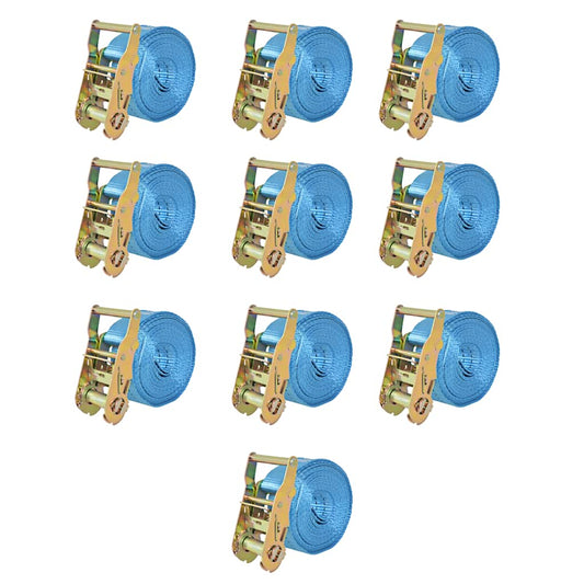 142655 vidaXL Ratchet Tie Down Straps 10 pcs 2 Tonnes 6mx38mm Blue