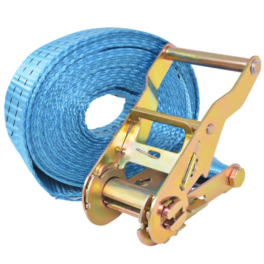 142655 vidaXL Ratchet Tie Down Straps 10 pcs 2 Tonnes 6mx38mm Blue