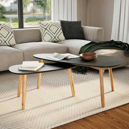 244732 vidaXL Coffee Table Set 2 Pieces Solid Pinewood Black