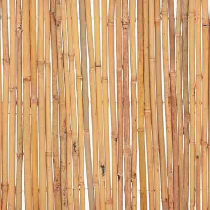 Bamboo Fence 500x50 cm