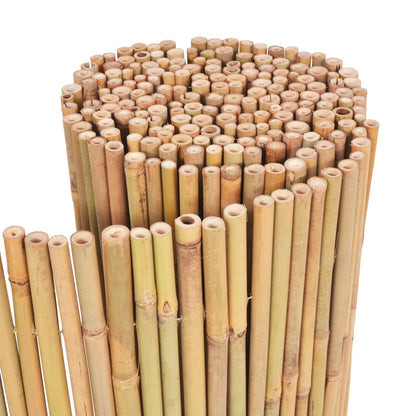 Bamboo Fence 300x100 cm
