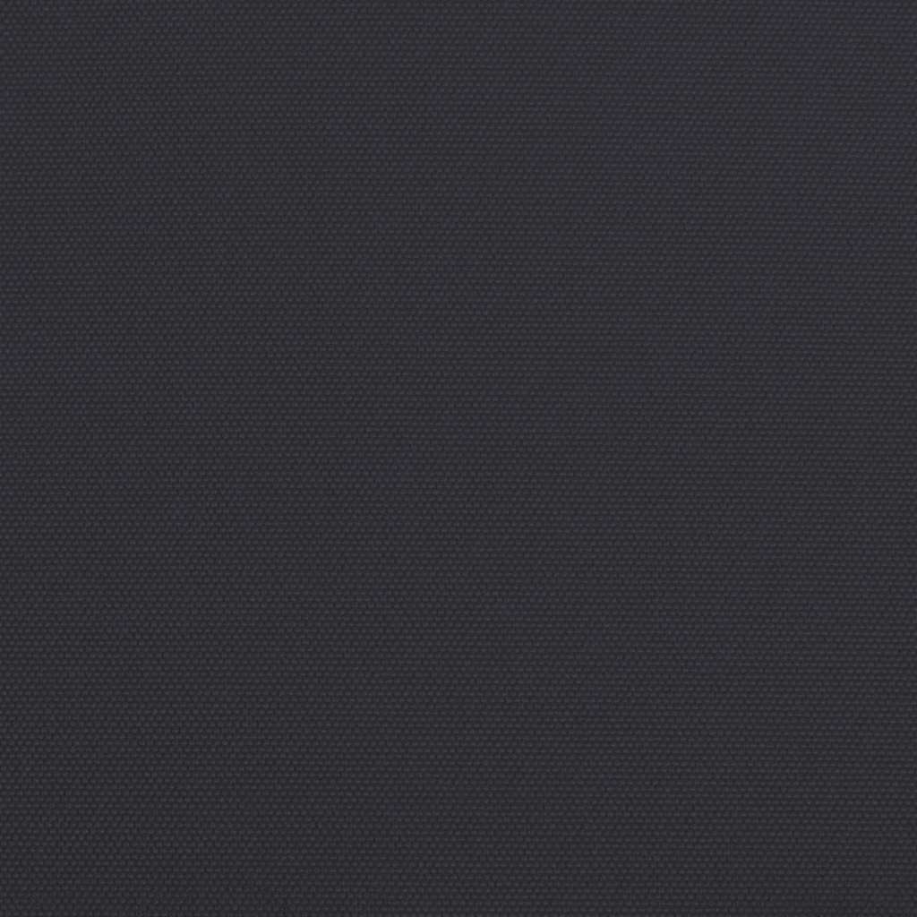 Manual Awning 3 x 2.5 m Anthracite 100% Polyester