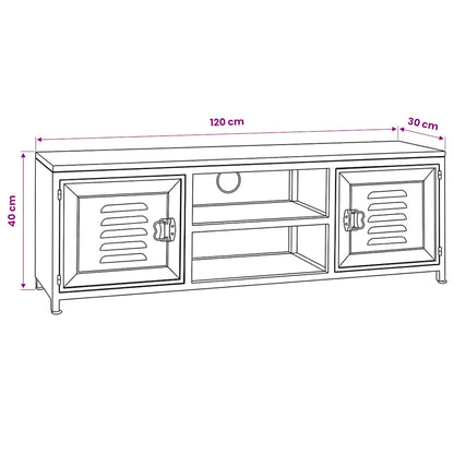 245457 vidaXL TV Cabinet 120x30x40 cm White