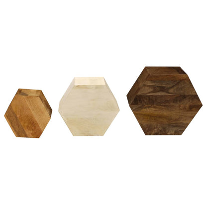 246321 vidaXL Coffee Table Set 3 Pieces Solid Mango Wood