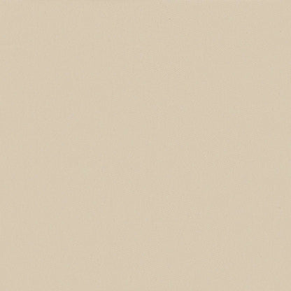44570 vidaXL Collapsible Terrace Side Awning Cream 400x200 cm