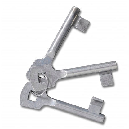 Mesh Garden Gate Galvanised Steel 300x100 cm Grey