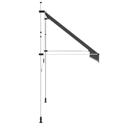 143690 vidaXL Manual Retractable Awning 300 cm Anthracite