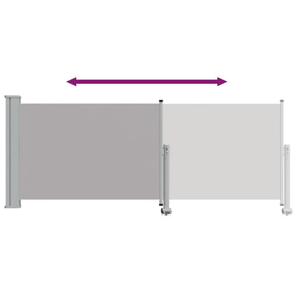 Patio Retractable Side Awning 100 x 300 cm Grey