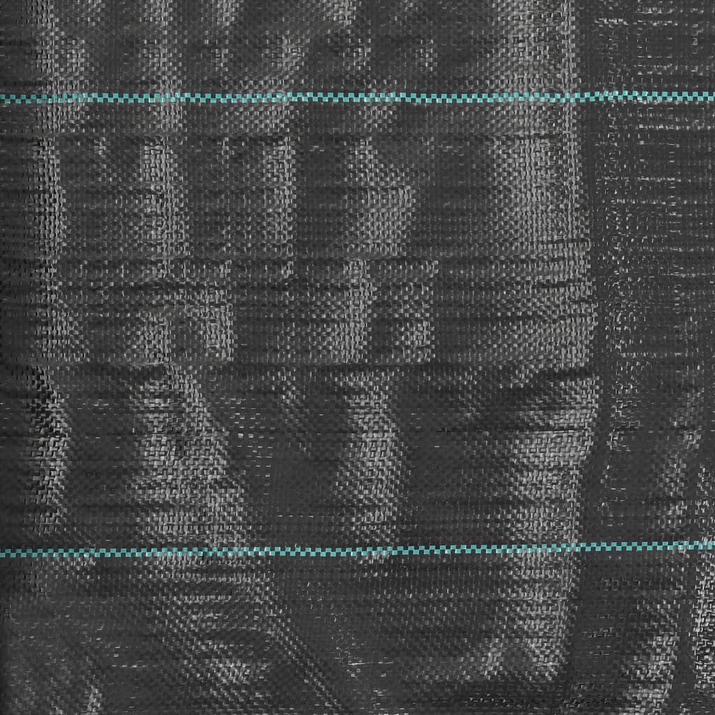 Weed & Root Control Mat PP 2x50 m Black