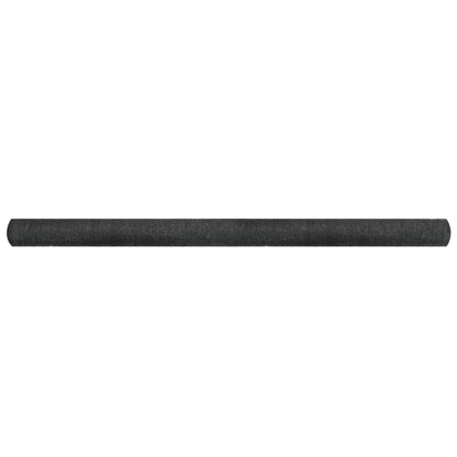 Privacy Net HDPE 2x10 m Black