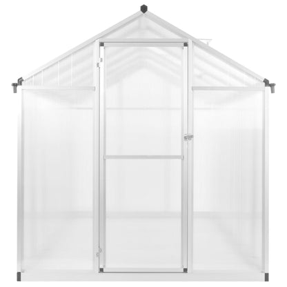 Greenhouse Aluminium 302x190x195 cm 11,19 m³