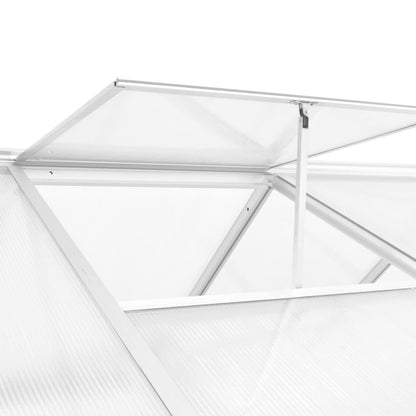 Greenhouse Aluminium 302x190x195 cm 11,19 m³