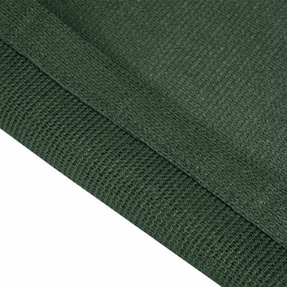 Tent Carpet 250x400 cm HDPE Green
