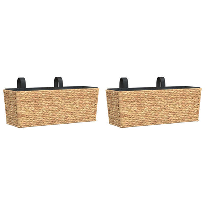 Planters 2 pcs Water Hyacinth