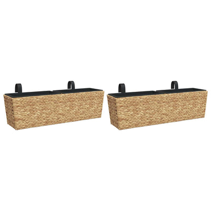 Planters 2 pcs Water Hyacinth