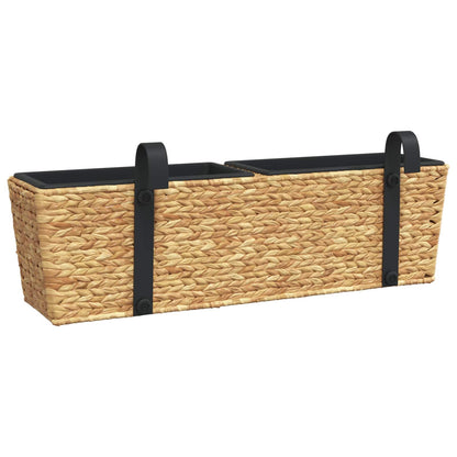 Planters 2 pcs Water Hyacinth