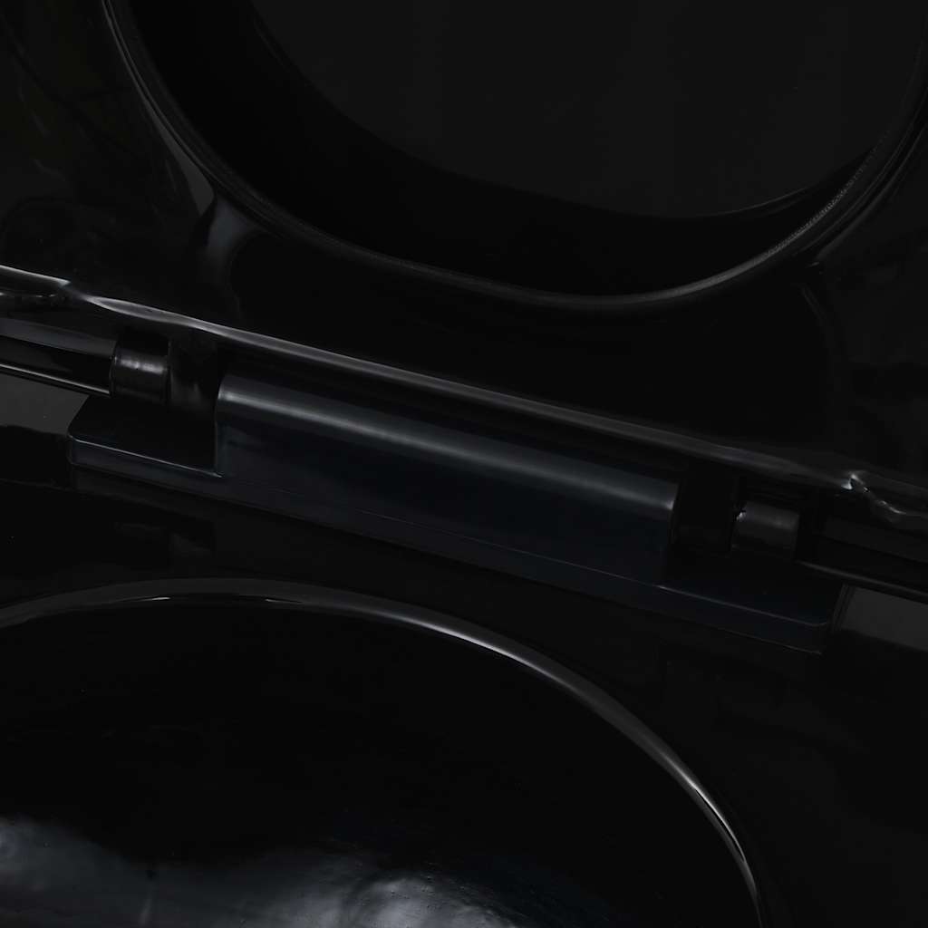 Wall-Hung Toilet with Concealed Cistern Ceramic Black