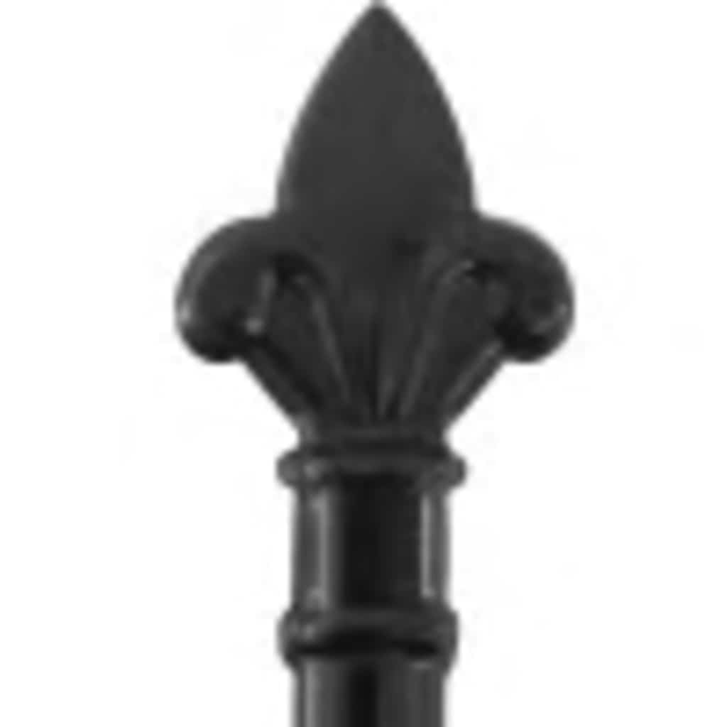 Double Door Fence Gate Woerden with Spear Top 299.5x149.5 cm