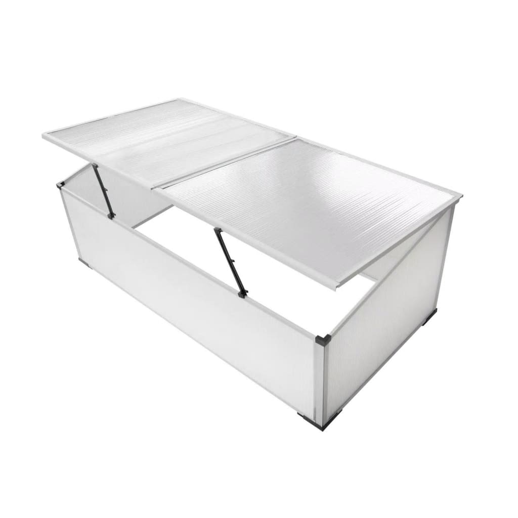 Cold Frame 2 Lids 110x55x41 cm