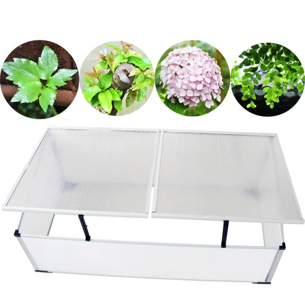 Cold Frame 2 Lids 110x55x41 cm