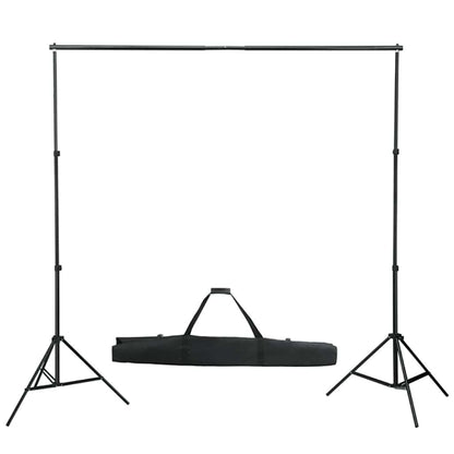 160061 vidaXL Photo Backdrop Support System 600x300 cm Black