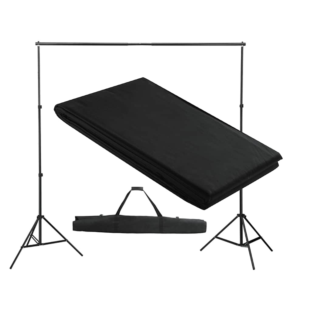 160067 vidaXL Backdrop Support System 300 x 300 cm Black