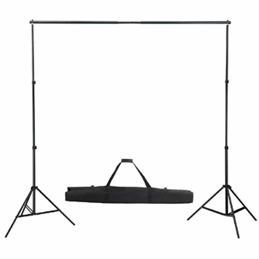 160067 vidaXL Backdrop Support System 300 x 300 cm Black