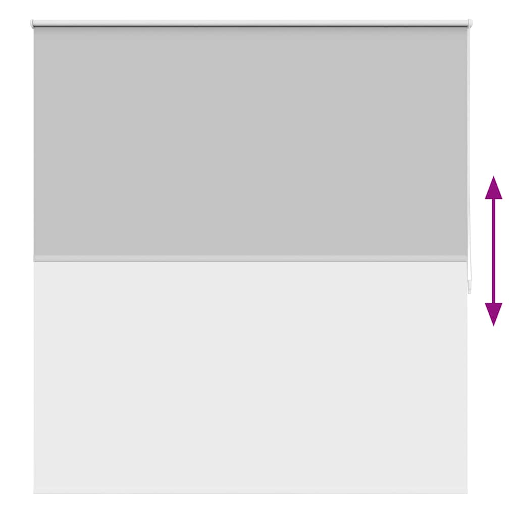 Roller blind blackout 164.4x175 cm Fabric Width 160 cm grey