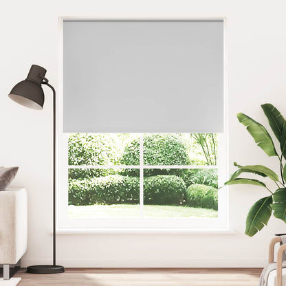 Roller blind blackout 164.4x230 cm Fabric Width 160 cm grey