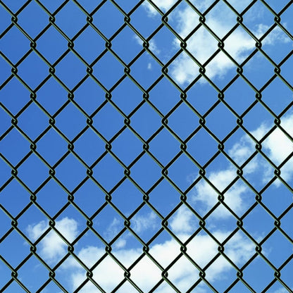 Chain Link Fence Steel 0,8x15 m Green