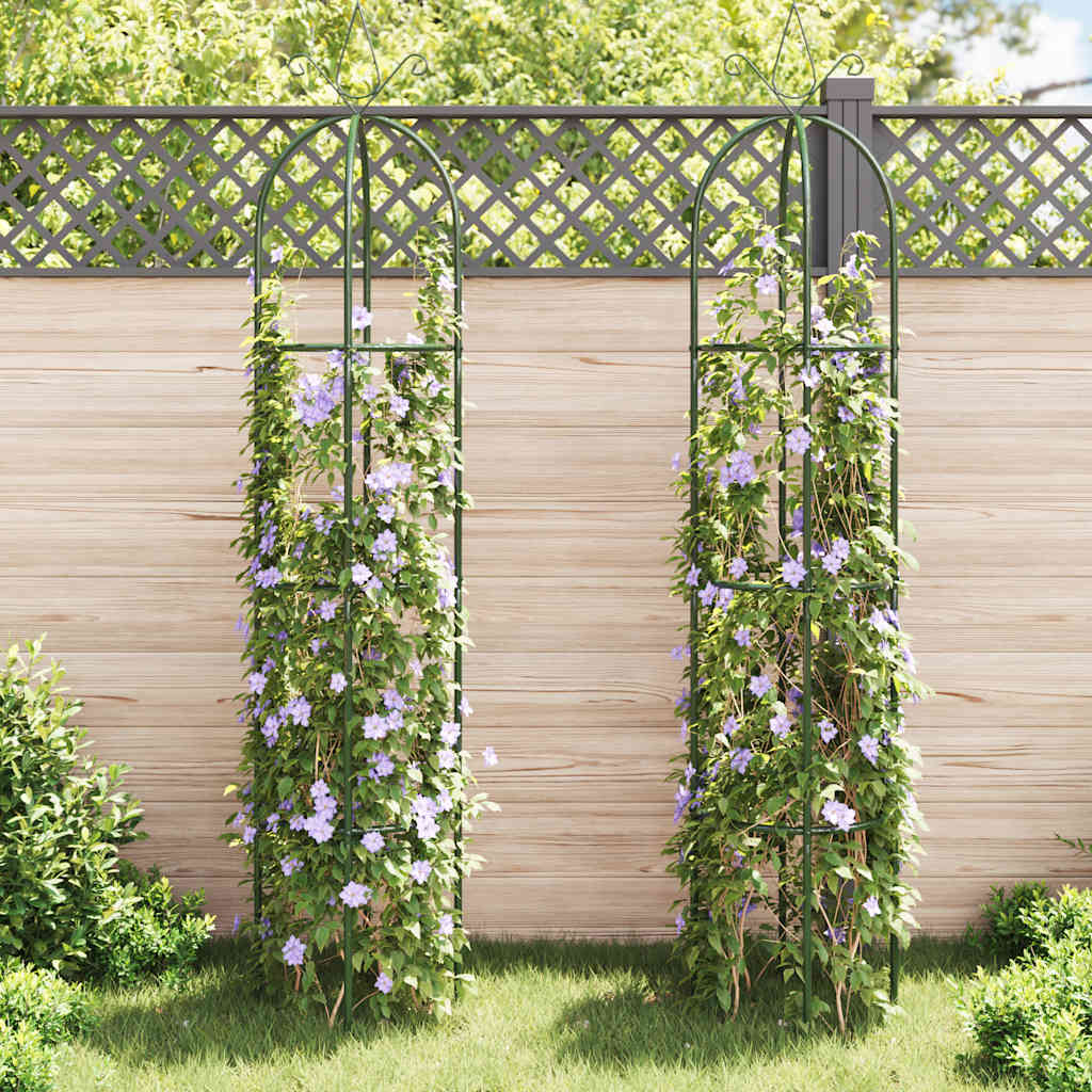 Garden Arch | Dark green | Iron | Standard | Decorative Design