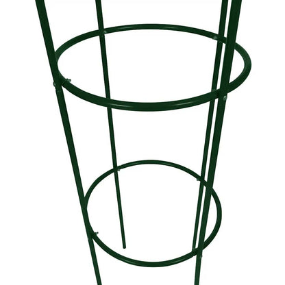 Garden Arch | Dark green | Iron | Standard | Decorative Design
