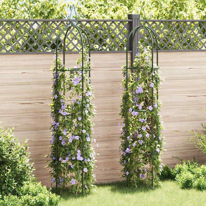 Garden Arch | Dark green | Iron | Standard | Decorative Design