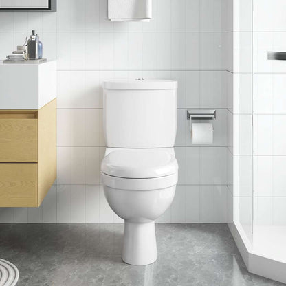 Toilet With Cistern White