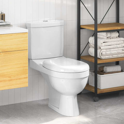 Toilet With Cistern White