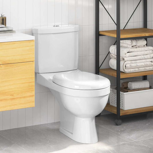 Toilet With Cistern White