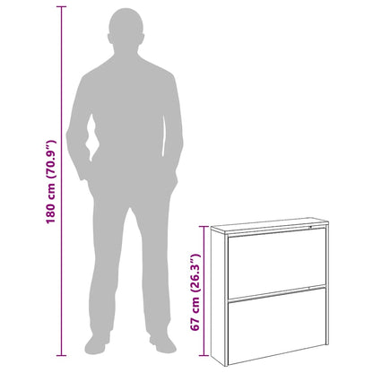 Shoe Cabinet 2-Layer Mirror White 63x17x67 cm