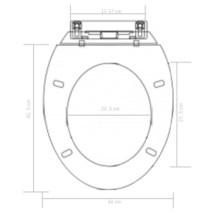 Soft-close Toilet Seat with Quick-release Design Black