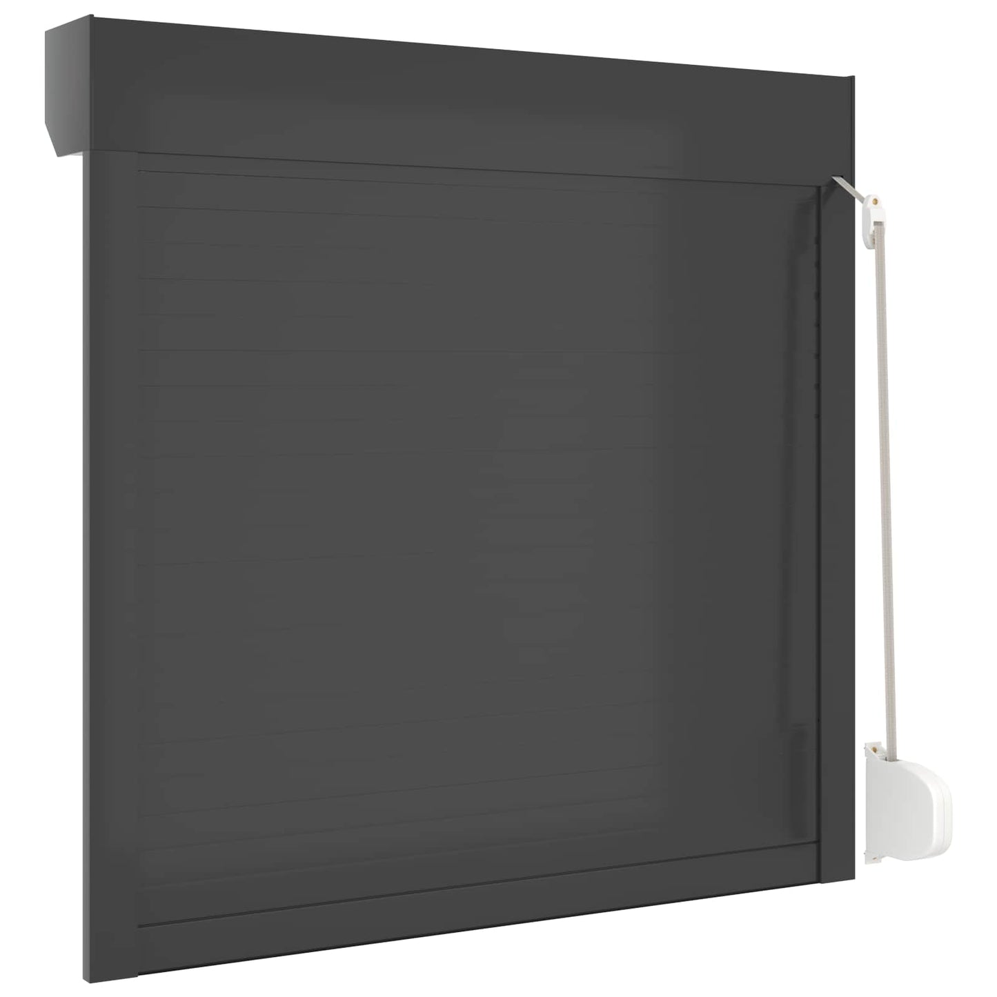 Roller Shutter Manual Anthracite 100 x 100 cm