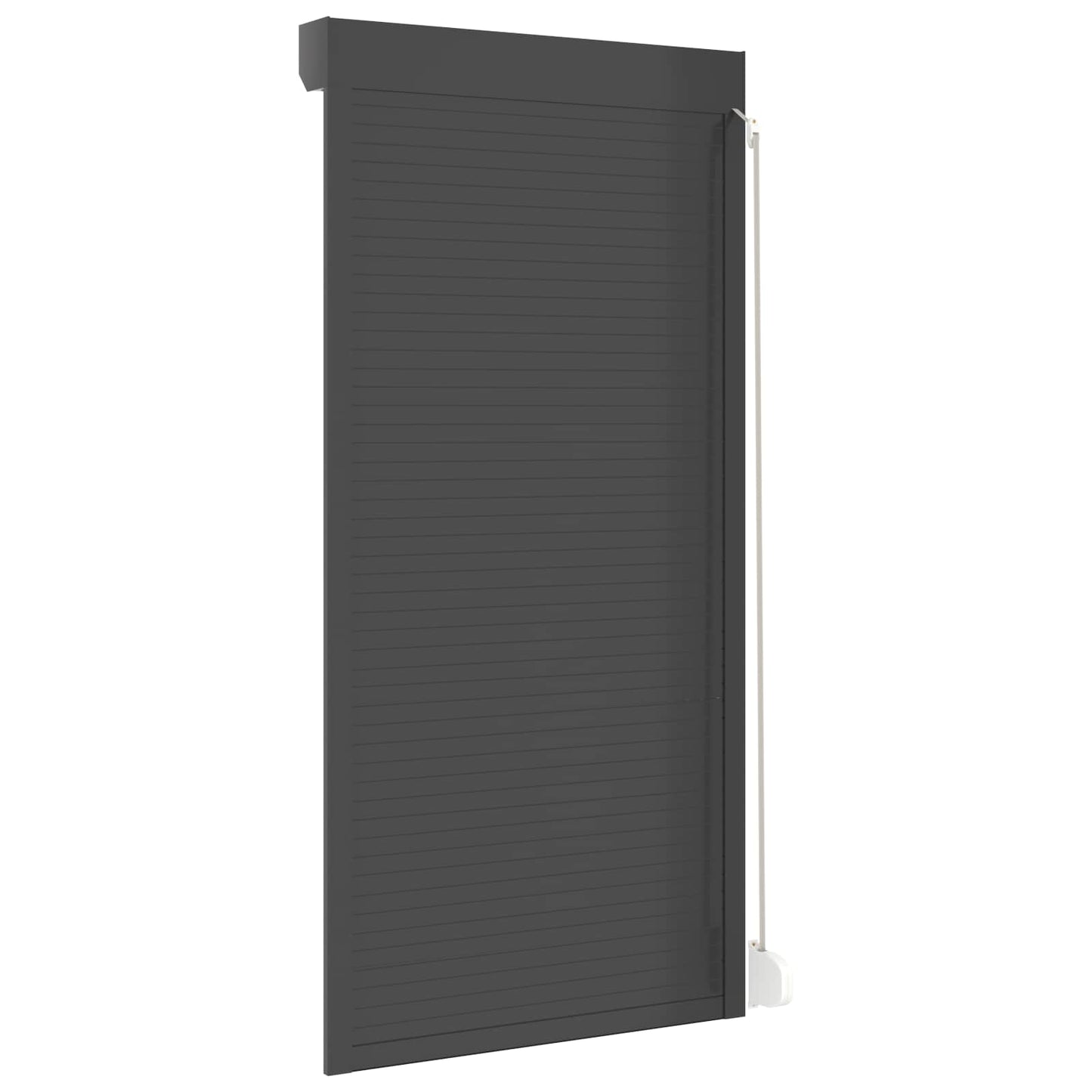 Roller Shutter Manual Anthracite 100 x 210 cm