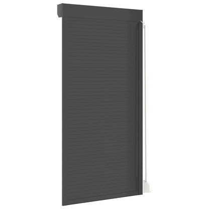 Roller Shutter Manual Anthracite 100 x 210 cm