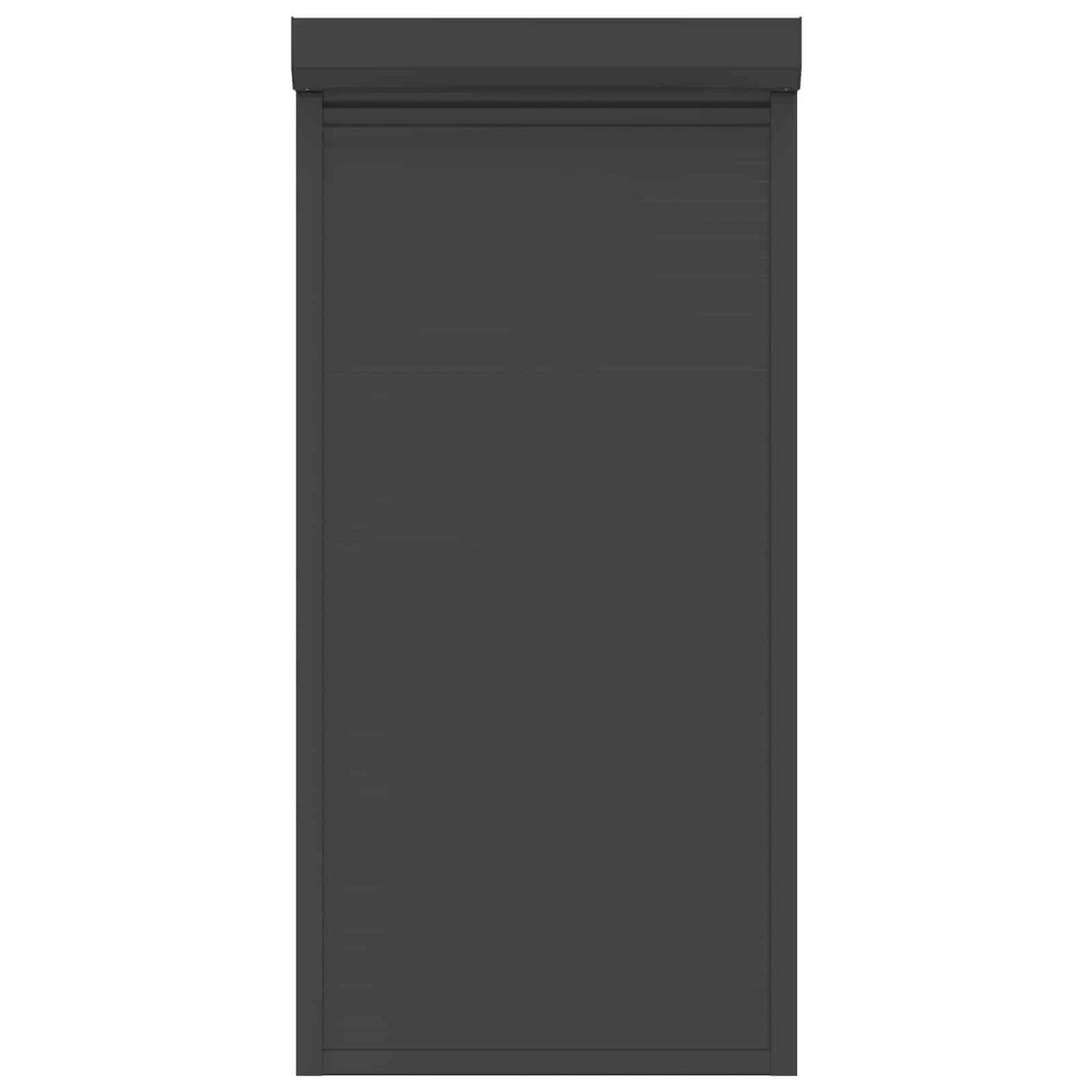 Roller Shutter Manual Anthracite 100 x 210 cm