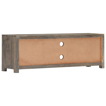 282735 vidaXL TV Cabinet Grey 120x30x40 cm Solid Mango Wood