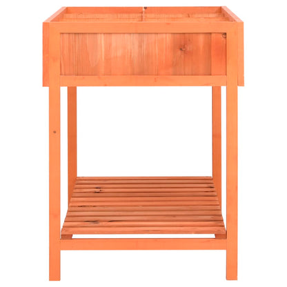 Herb Planter | Brown | Solid Firwood, Plywood | Medium | Herb Planter