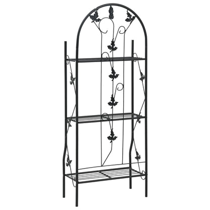 3-Layer Plant Rack Black 52x28x128 cm Iron