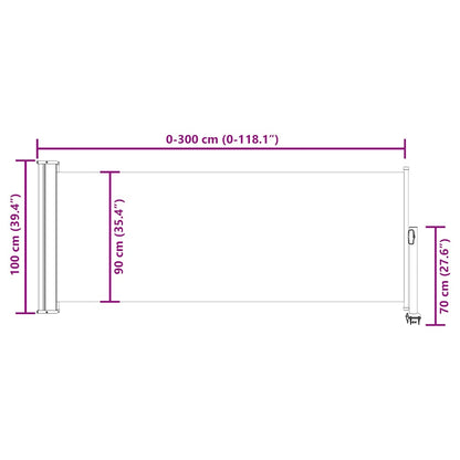 Patio Retractable Side Awning 100x300 cm Red
