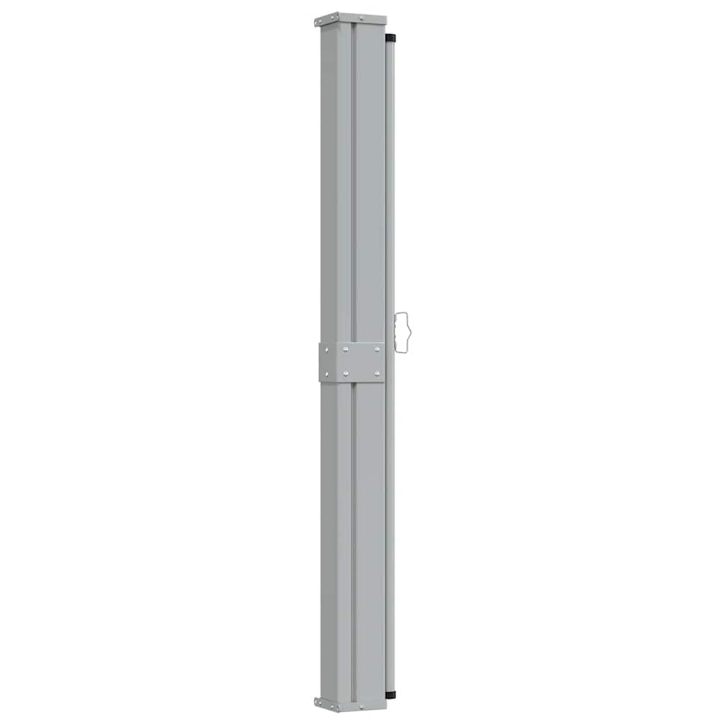 Patio Retractable Side Awning 160x300 cm Brown